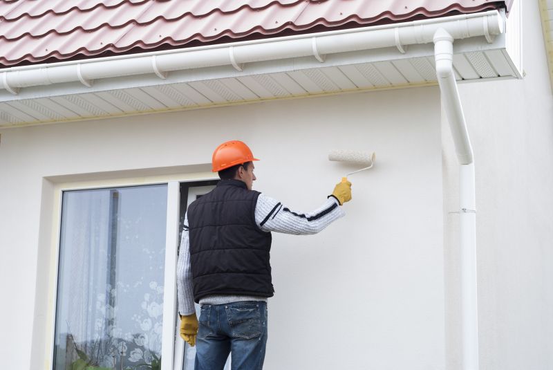 Cladding Painting in Longmont, CO